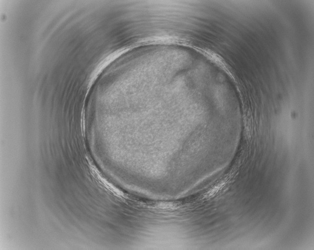 X0000054460839200508191700