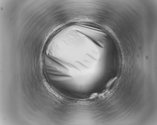 X0000054460840200508191700