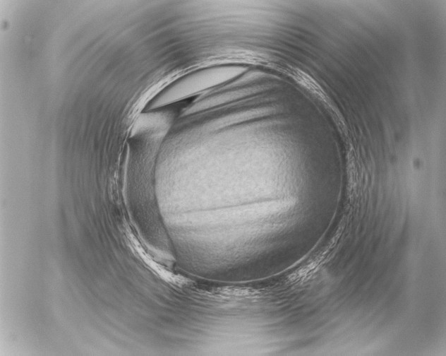 X0000054460842200508191700
