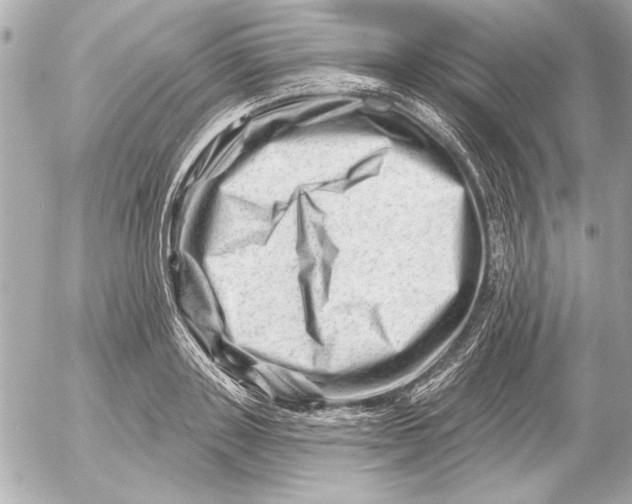 X0000054460843200508191700