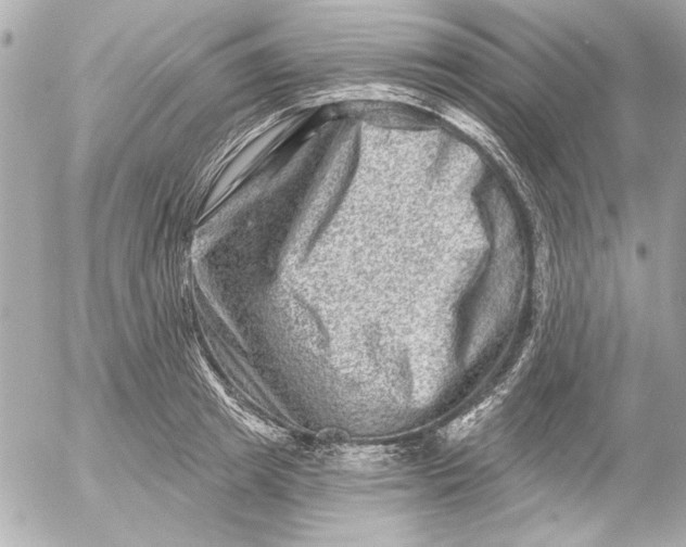 X0000054460849200508191700