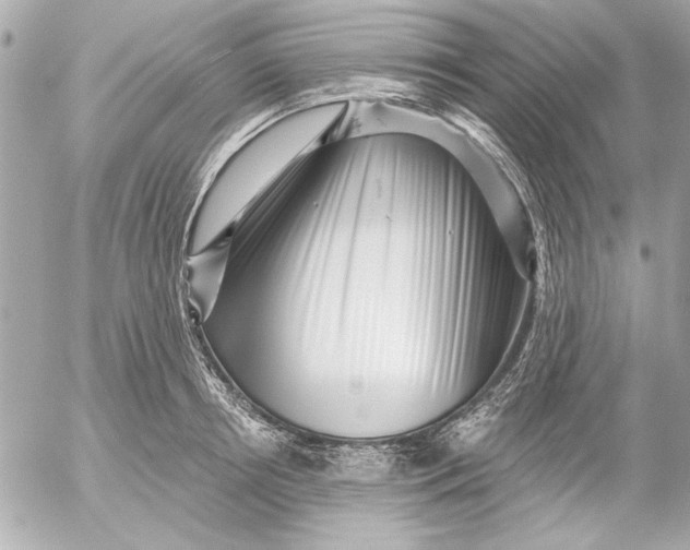 X0000054460850200508191700