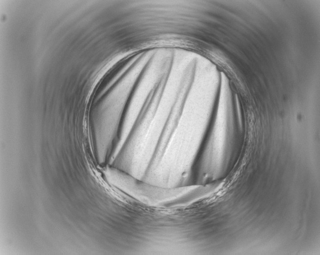 X0000054460852200508191700