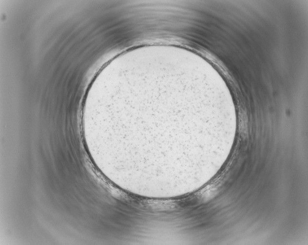 X0000054460856200508191700