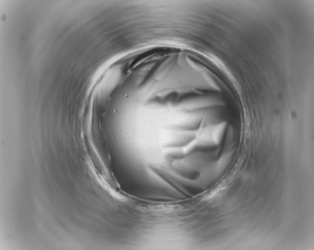 X0000054460862200508191701