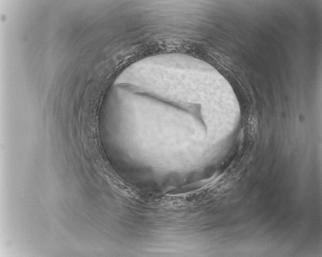 X0000054460865200508191700