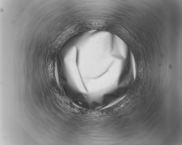 X0000054460866200508191700
