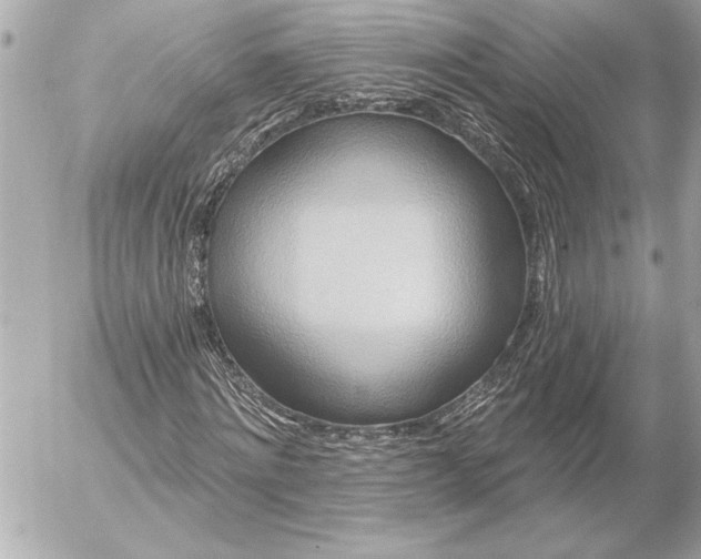 X0000054460868200508191700