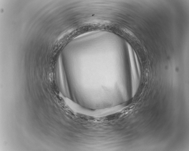 X0000054460869200508191700