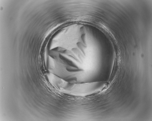 X0000054460876200508191700
