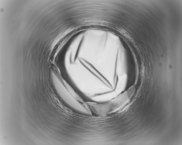 X0000054460877200508191700