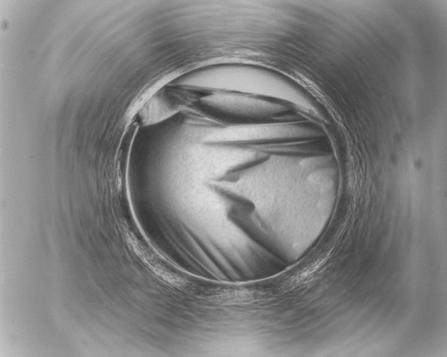 X0000054460885200508191659