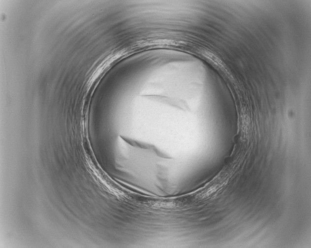 X0000054460890200508191659