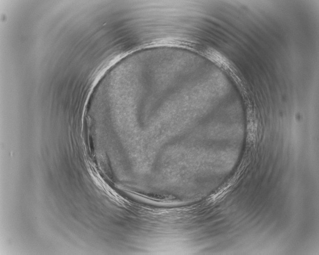 X0000054460892200508191659