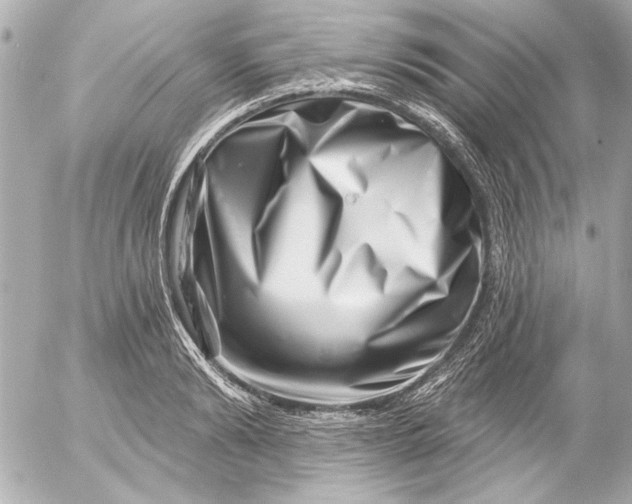 X0000054460894200508191659