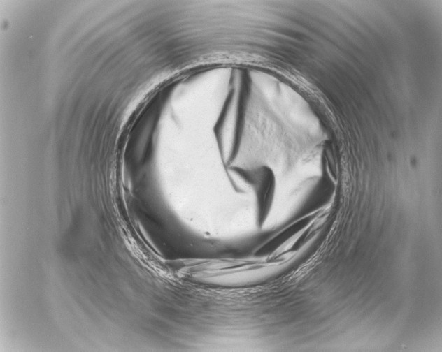 X0000054460896200508191659
