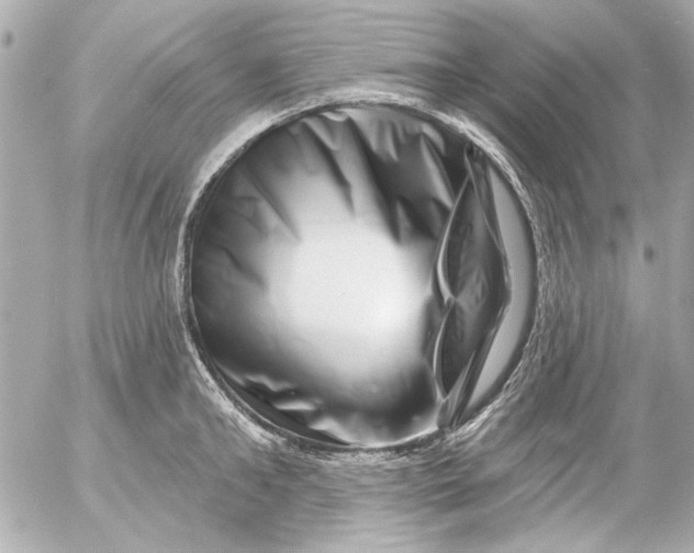 X0000054460902200508191659