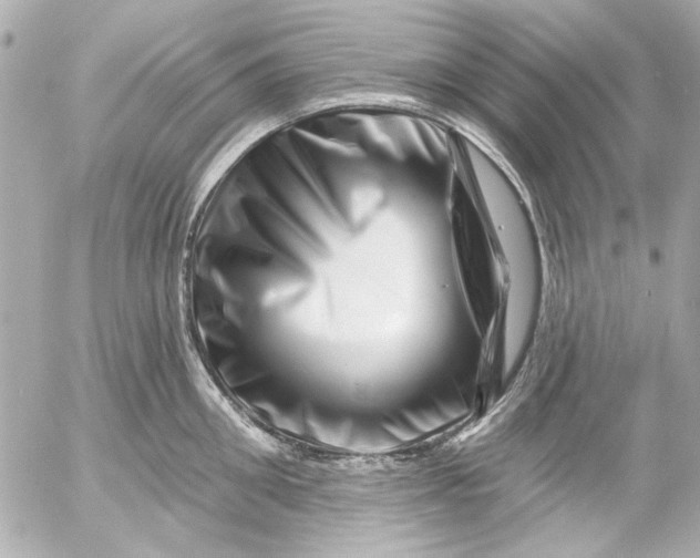 X0000054460906200508191659