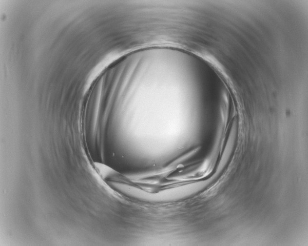 X0000054460910200508191659