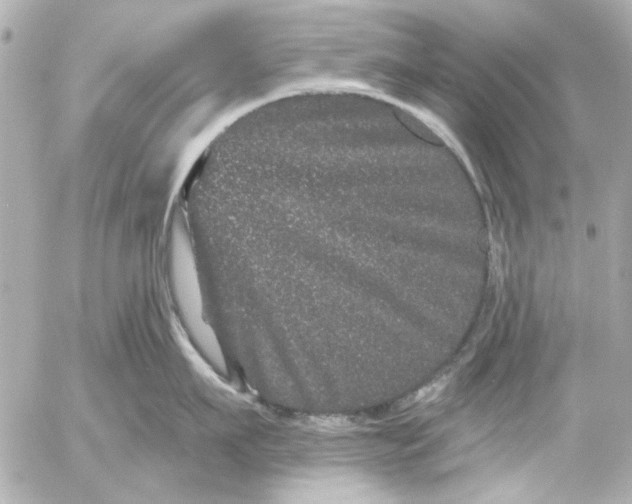 X0000054460911200508191659