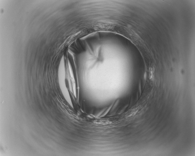 X0000054460915200508191658