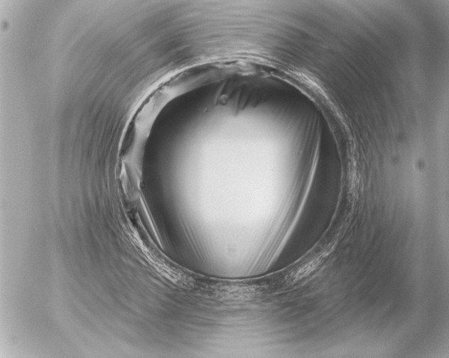 X0000054460924200508191658