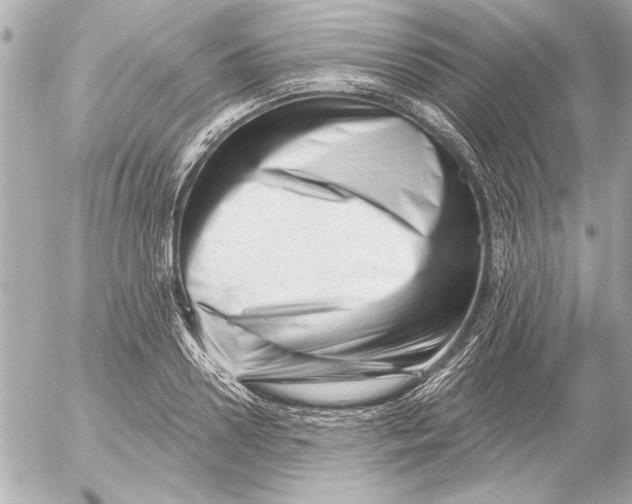 X0000054460938200508191659