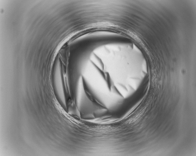 X0000054460939200508191659