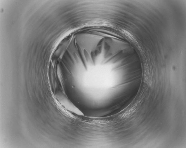 X0000054460942200508191659