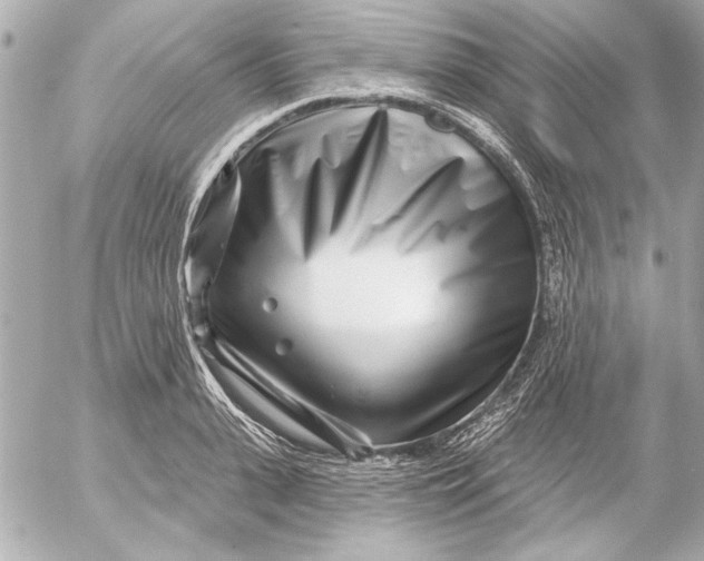 X0000054460943200508191659