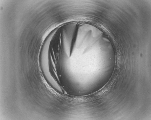 X0000054460944200508191659