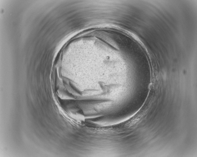 X0000054460951200508191659