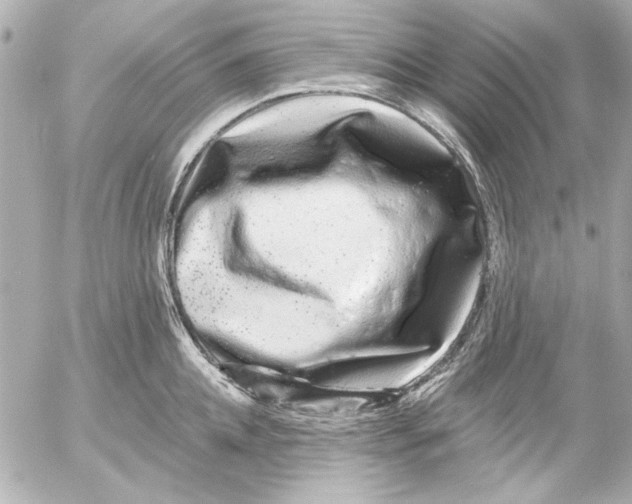 X0000054460952200508191659