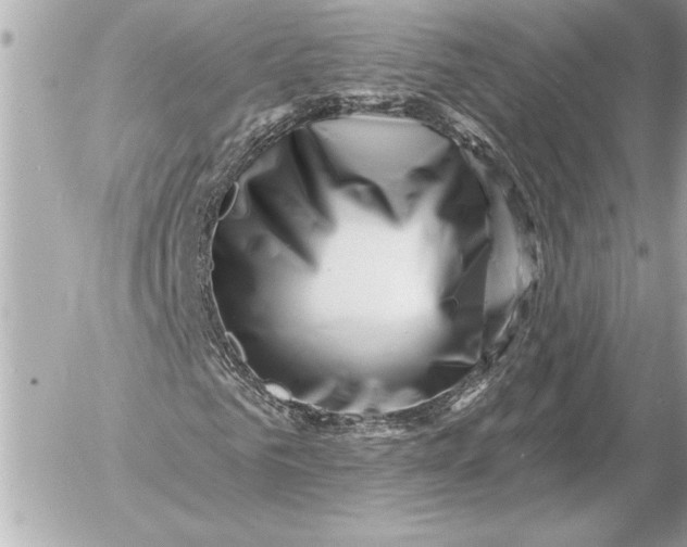 X0000054460961200508191658