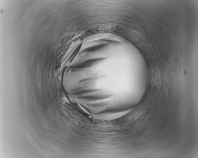 X0000054460962200508191658