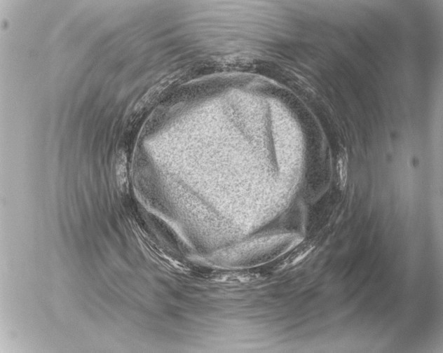 X0000054460963200508191658