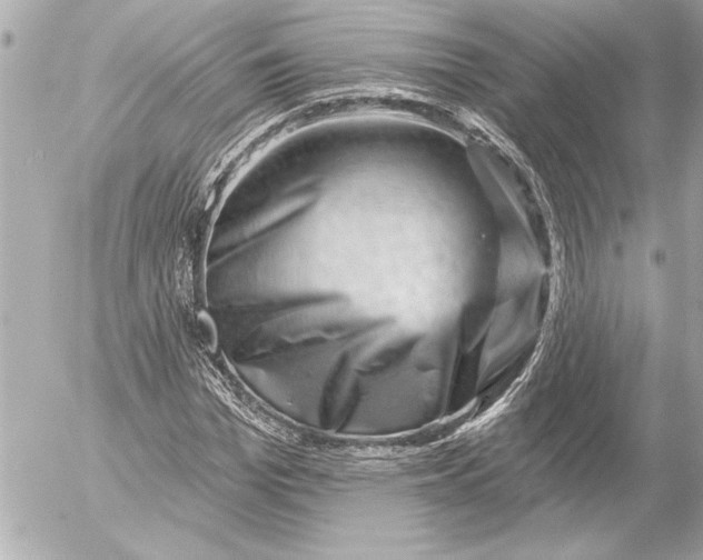 X0000054460969200508191658