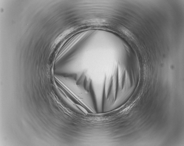 X0000054460970200508191658