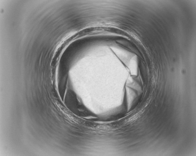 X0000054460974200508191658