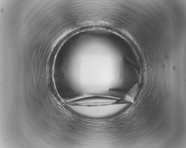 X0000054460975200508191658