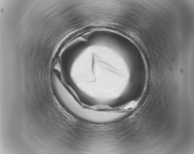 X0000054460976200508191658