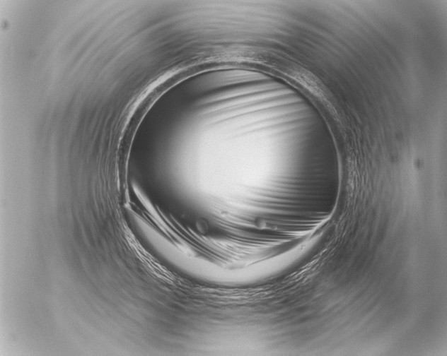 X0000054460980200508191658