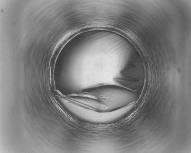 X0000054460982200508191658