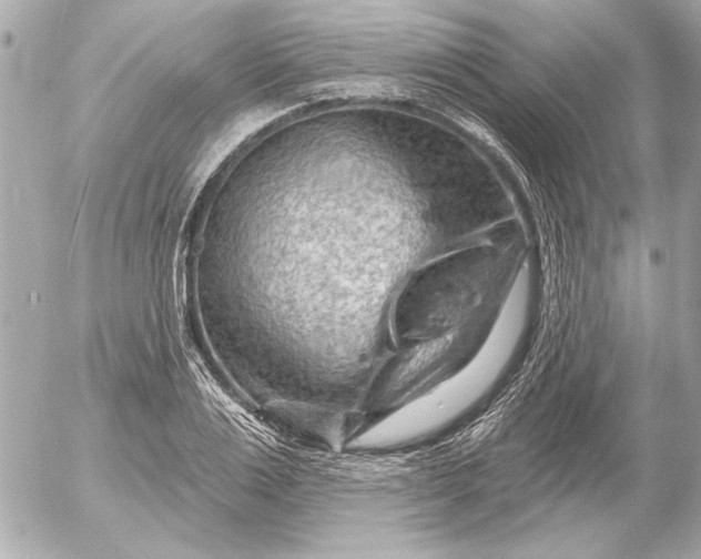 X0000054460983200508191658