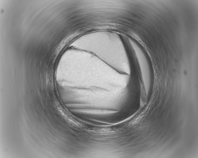 X0000054460986200508191658