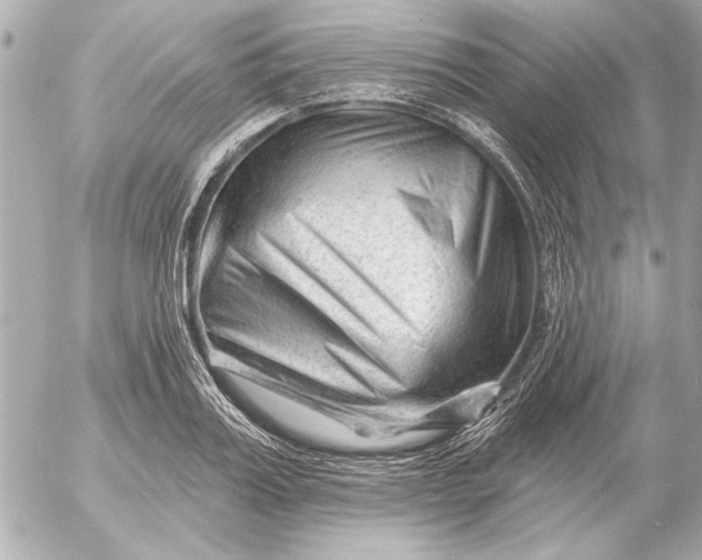 X0000054460987200508191658