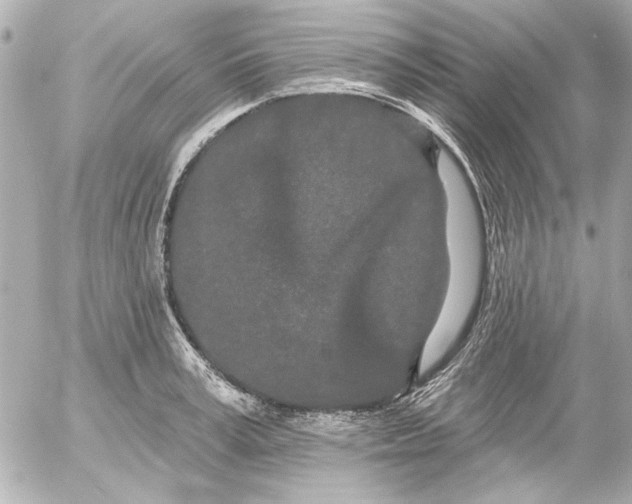 X0000054460995200508191658