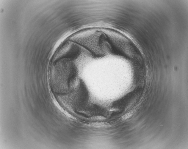 X0000054460998200508191657