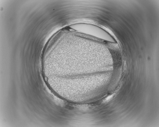 X0000054460999200508191657