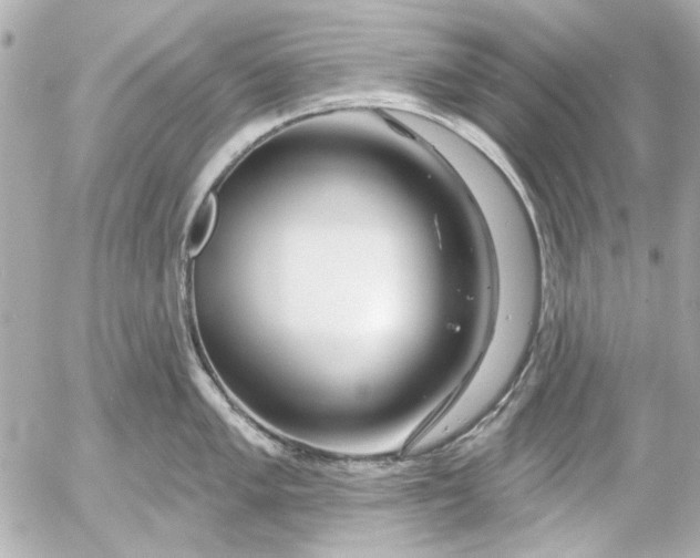 X0000054461005200508191657